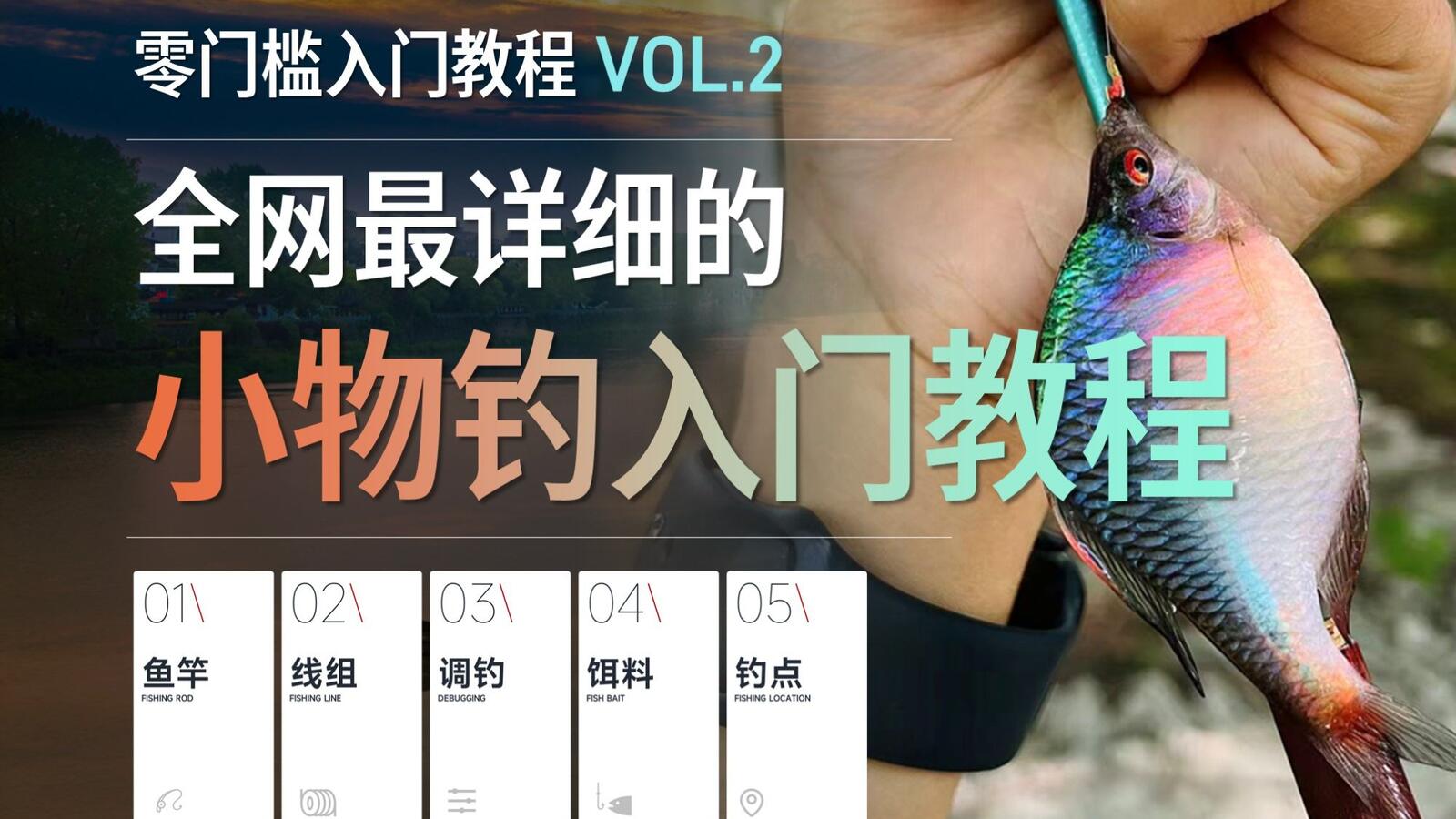 小物钓全方面入门科普视频封面,围绕鱼竿、线组、调钓、饵料与钓点展开