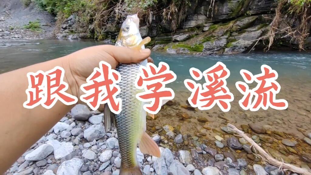 溪流钓实战与理论教学视频封面，画面为山溪现场