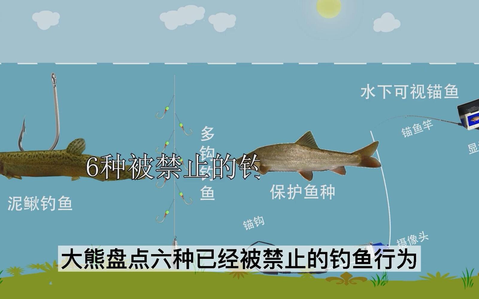 避坑合规 / 合法合规视频封面