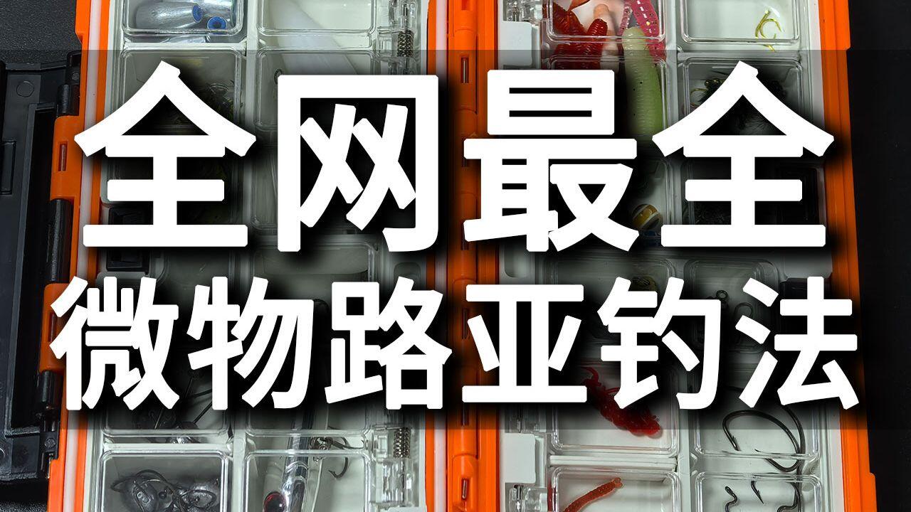 微物路亚 / 11种钓法视频封面