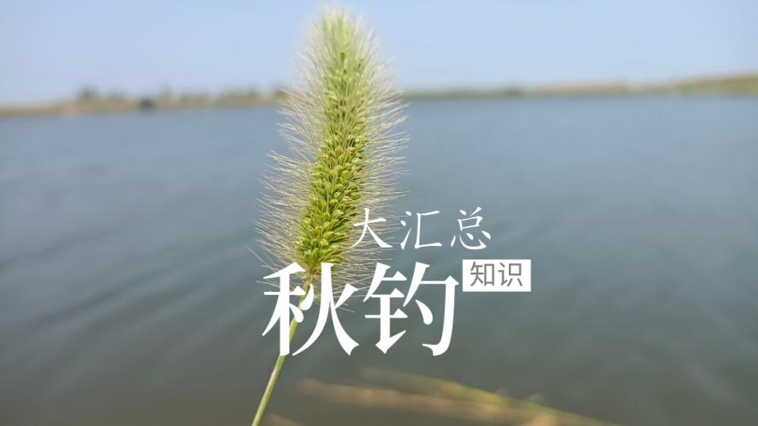 季节水情 / 秋季窗口视频封面