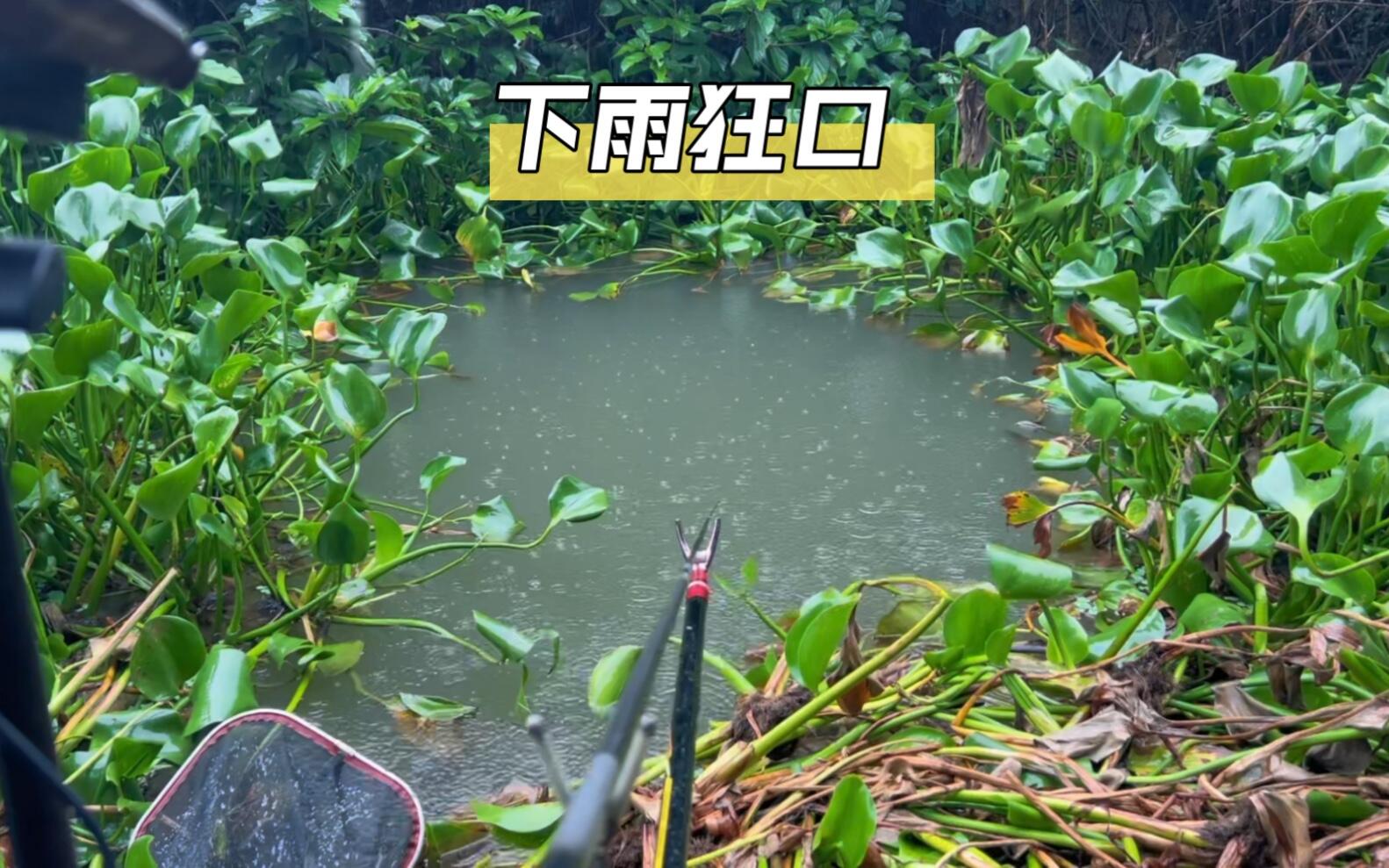 季节水情 / 雨天水草洞视频封面