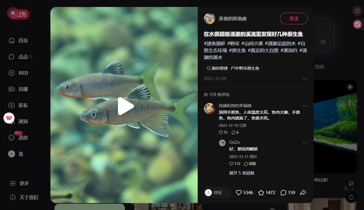 鱼种图鉴 / 溪流里的神奇生物视频封面